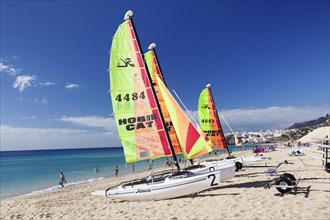 Catamarans on the beach