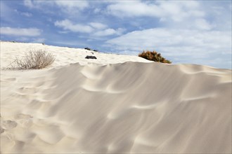 Sand dunes