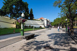 Promenade Av. Arriaga in the historic town centre of Funchal