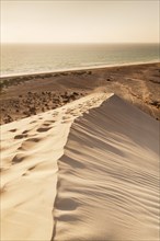 Dune landscape