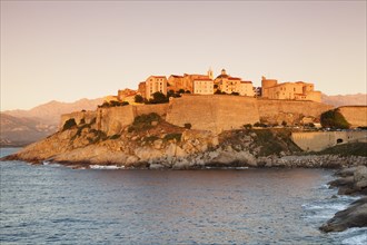 Citadel of Calvi in the evening light