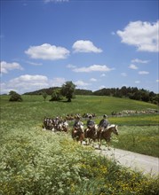 A ride on horseback at Whitsun