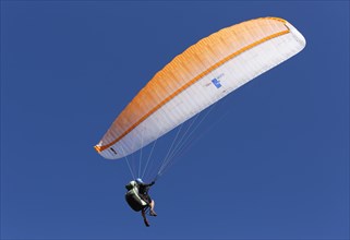 Paraglider paragliding