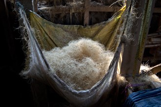 Coconut fibres for further processing into ropes