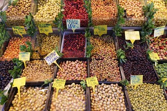 Various olives in display