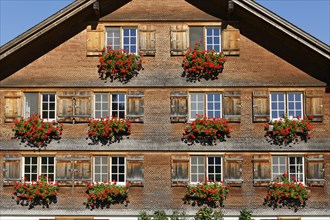 Bregenzerwald house with geraniums jewelry