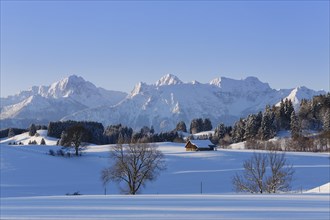 Winter landscape with the Tannheim Mountains