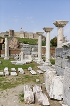 Basilica of St. John of Ephesus and the Citadel on Ayasoluk Hill