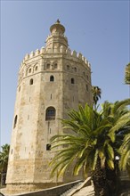 The Torre del Oro