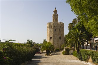 The Torre del Oro