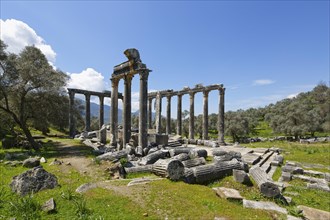 Zeus Temple of Euromos