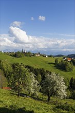 Cultivated landscape