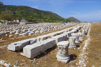 Remains of Dionysus Temple