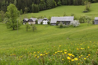 Traditional Austrian farmhouses