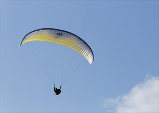 Paraglider