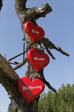 Hearts along the Herzerlweg trail to the highest registry office in Austria
