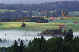 Landscape in the Alpine Foreland