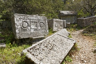 Sarcophagi in the necropolis