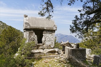 Sarcophagi in the necropolis