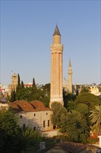 Fluted Minaret