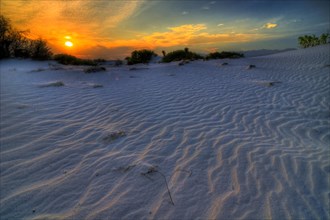Gypsum dunes of Las Arenales in Cuatro Cienegas Nature Reserve