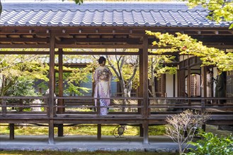 Japanese woman dressed in kimono