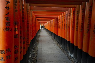 Pedestrian at Fushimi Inari-Taisha