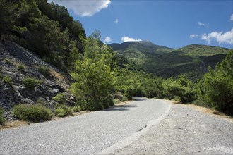 Country road in the Izmir Province