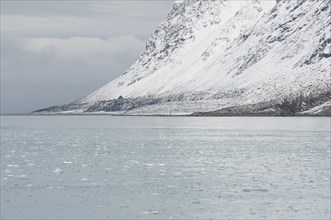 Snow-covered rocks surrounding Magdalene Fjord
