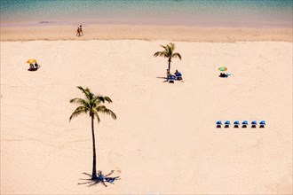 The sandy beach of Playa de las Teresitas with palms