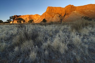 Petrified dunes of the Urnamib