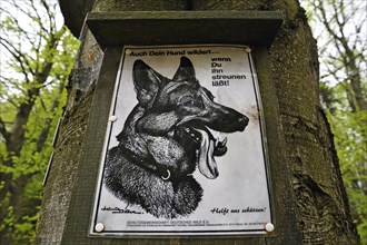 Sign 'Auch Dein Hund wildert ... wenn Du ihn streunen laesst'