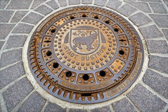 Manhole cover with the bull