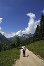 Berchtesgaden Alps with hikers