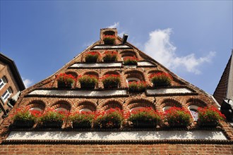 Renaissance pediment with geraniums