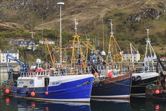 Fishing boats in the harbour of Mallaig