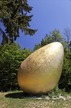 Golden egg on the edge of the forest as the archetypical form of life