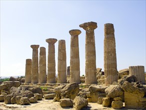 Pillars of the Temple of Heracles in the Valley of the Temples