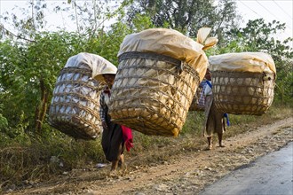 Woman carrying their load along the roadside