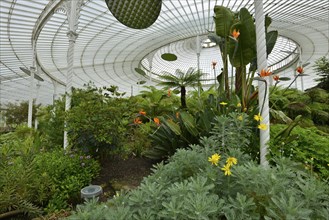 The Kibble Palace