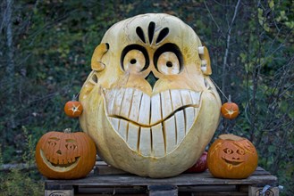 Face carved into a large pumpkin