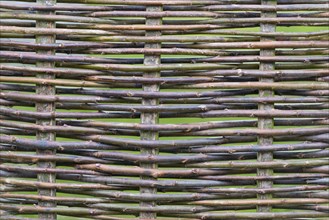 Woven fence made from hazel rods