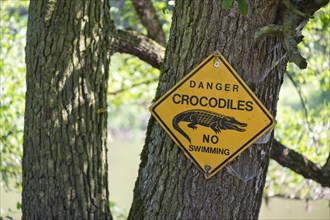Warning sign 'Danger crocodiles No swimming' on a tree