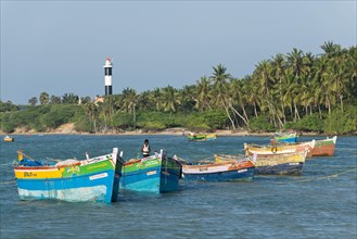 Colourful fishing boats and palm trees