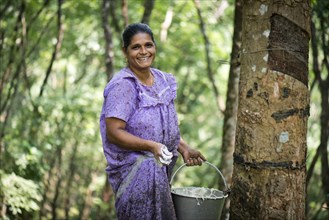 Woman standing at a Rubber Tree (Hevea brasiliensis) on a natural rubber plantation