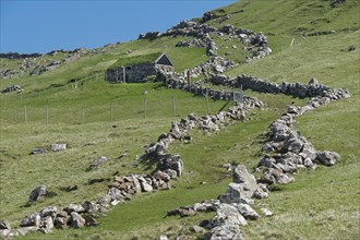Ancient walls that limit the sheep's way during a sheep drive
