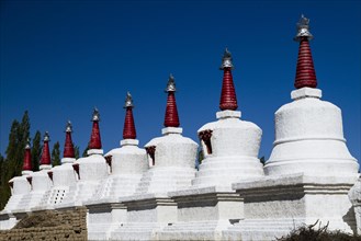 Eight stupas in a row
