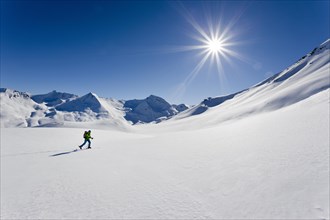 Cross-country skier in a snowy winter landscape