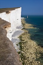 Lighthouse and white limestone cliffs at Beachy Head