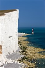 Lighthouse and white limestone cliffs at Beachy Head